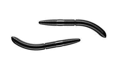 Libra Lures Fatty D Worm 65mm, Cheese, Black
